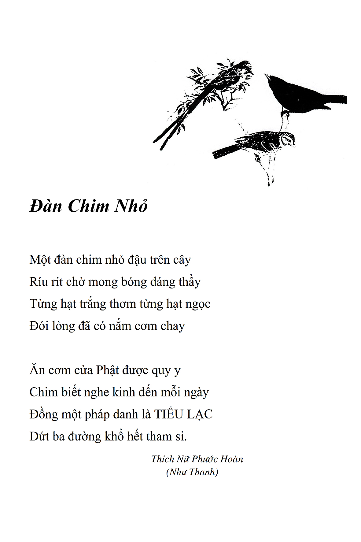 Dan Chim Nho