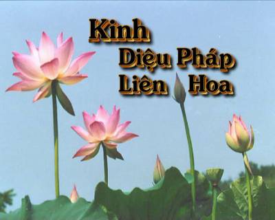 lien hoa