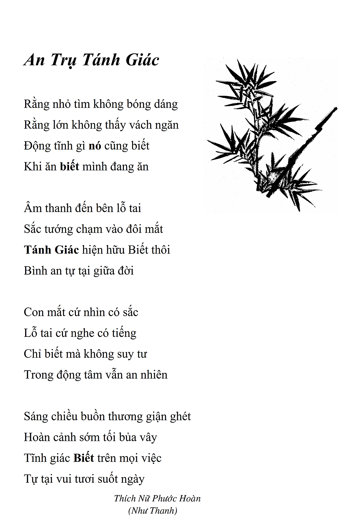 An Tru Tanh Giac